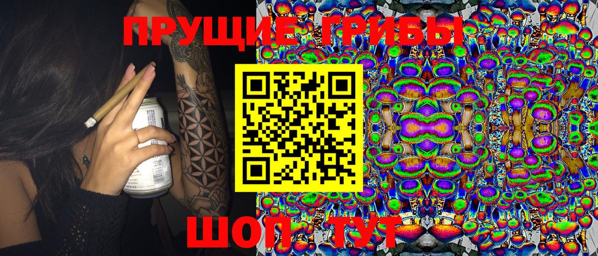Псилоцибиновые грибы мицелий  Галлюциногенные грибы Psilocybe  купить наркоту  Вход с VPN  Кропоткин 
