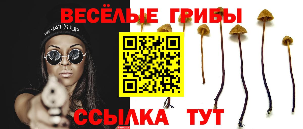Галлюциногенные грибы GOLDEN TEACHER Кропоткин